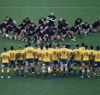 Bledisloe Cup Qantas Wallabies versus All Blacks - Tweed Heads Accommodation