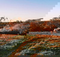 Cargo Road Wines Grande Fiamma - Tweed Heads Accommodation