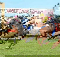 Casino Cup - Tweed Heads Accommodation