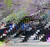 Celtic Festival of Queensland - Tweed Heads Accommodation