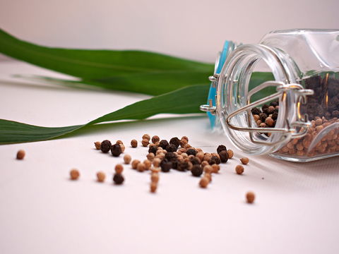 Cooking With Australian Indigenous Spices Cooking Class - Tweed Heads Accommodation 0