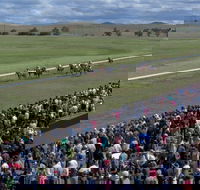 Cooma Sundowners Cup - Tweed Heads Accommodation