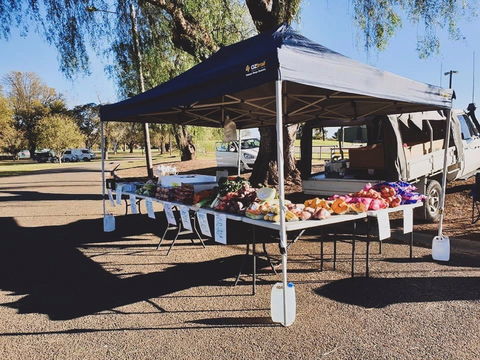 Cootamundra Girl Guides Markets - Tweed Heads Accommodation 0