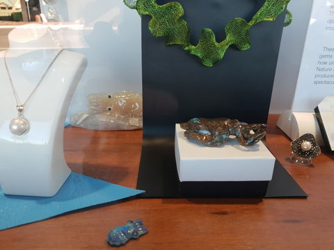 Cuttlefish Art Trail - Cuttlefest 2020 - Tweed Heads Accommodation 1