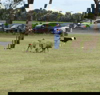Dean Sheepdog Trials - Old Sniff Classic - Tweed Heads Accommodation