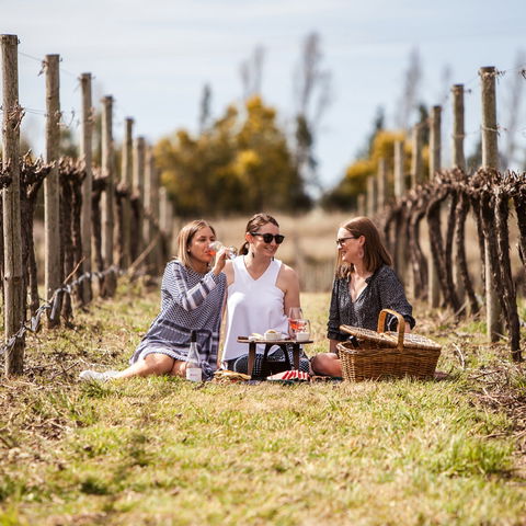 Family Picnic Weekend - Tweed Heads Accommodation 0