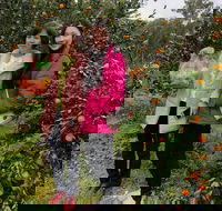 Fruit Taste Adventure Tours - Tweed Heads Accommodation