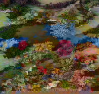 Glenrock Gardens Open Garden - Tweed Heads Accommodation