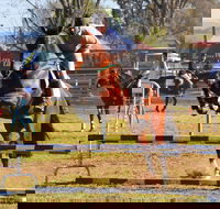 Glen Innes Pastoral and Agricultural Show - Tweed Heads Accommodation