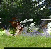 High Country Writers Festival - Tweed Heads Accommodation