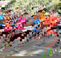 MAAS Group Dubbo Stampede Running Festival - Tweed Heads Accommodation