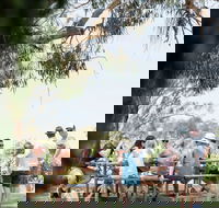 Music on the Murray - Tweed Heads Accommodation