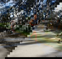 Ned Kelly Chase - Tweed Heads Accommodation