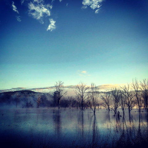 Scenic Rim Ultra - Tweed Heads Accommodation 0