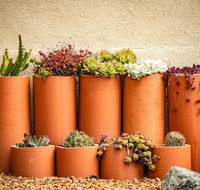 Tumbarumba Spring Flower Festival - Tweed Heads Accommodation
