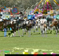 Wangaratta Show - Tweed Heads Accommodation