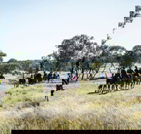 Weddin Mountain Muster - Tweed Heads Accommodation