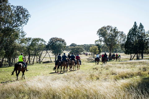 Weddin Mountain Muster - Tweed Heads Accommodation 0