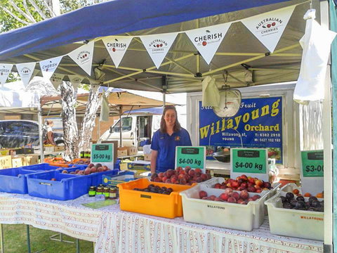 Young And Region Farmers Markets - Tweed Heads Accommodation 1