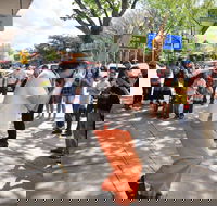 Australian National Busking Championships - Tweed Heads Accommodation