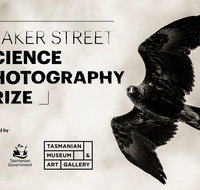 Beaker Street Science Photography Prize - Tweed Heads Accommodation