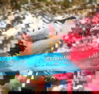 Beach House Hotel Hervey Bay 100 - Tweed Heads Accommodation