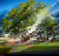 Big Bat Wildlife and Eco Festival - Tweed Heads Accommodation