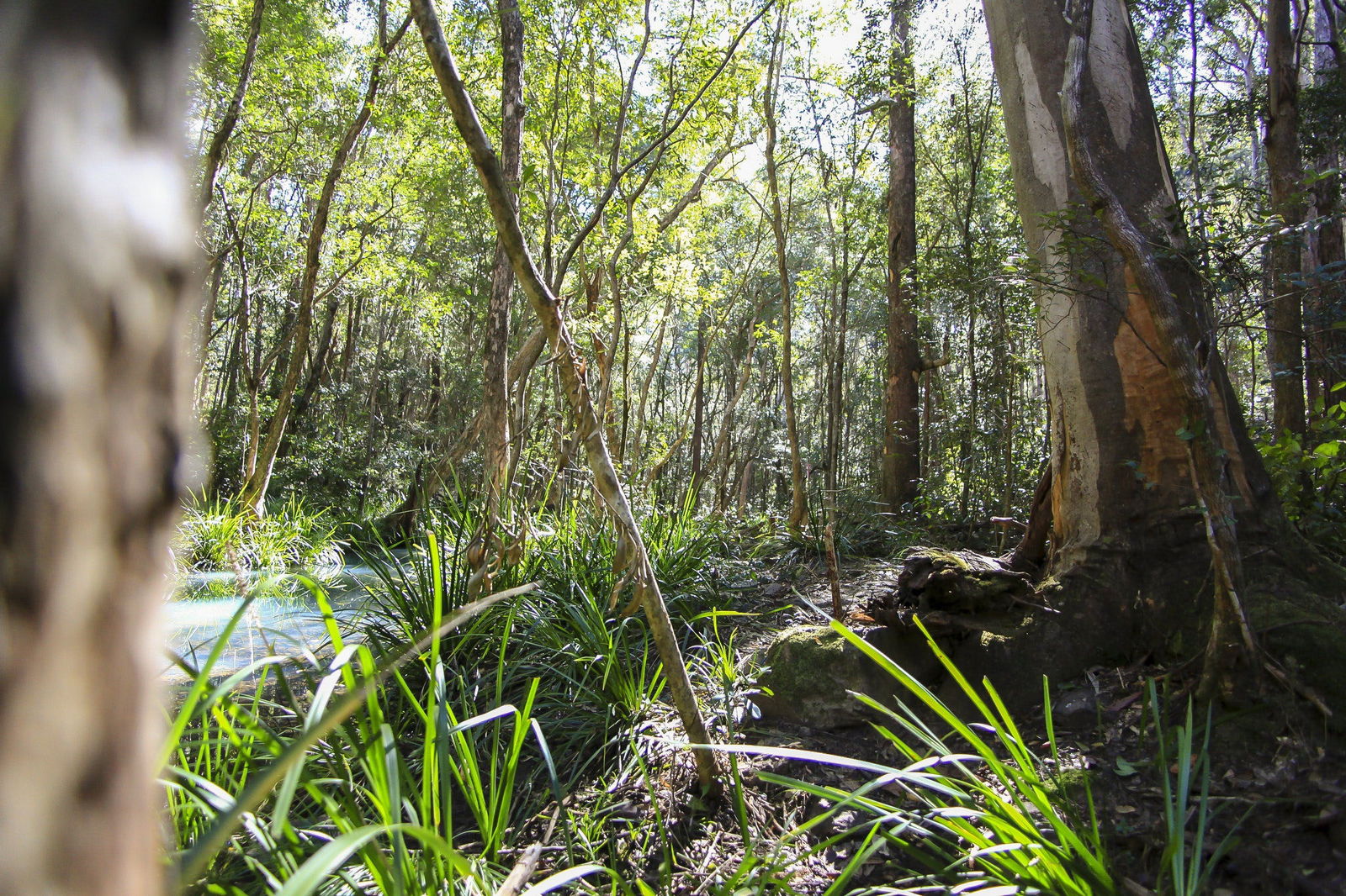 Herons Creek NSW Tweed Heads Accommodation