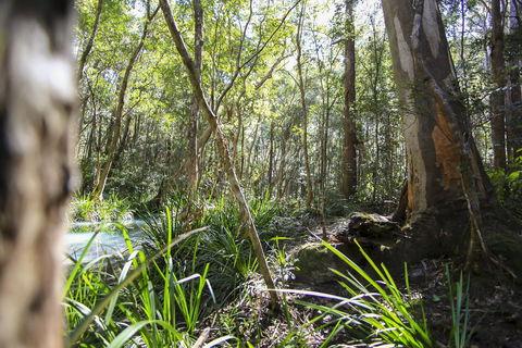 Bottlebutt Bash Trail Run - Tweed Heads Accommodation 0