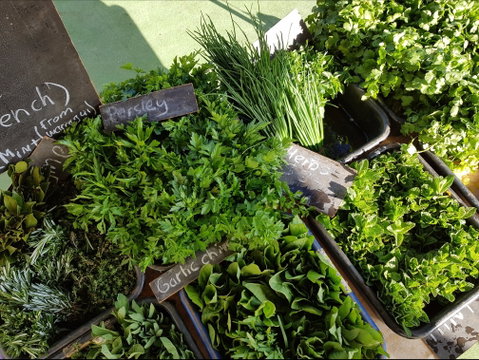 Carlton Farmers' Market - Tweed Heads Accommodation 2