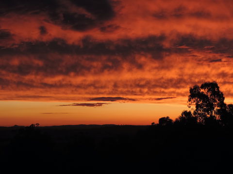 Father's Day At Cottontail Wines - Tweed Heads Accommodation 0