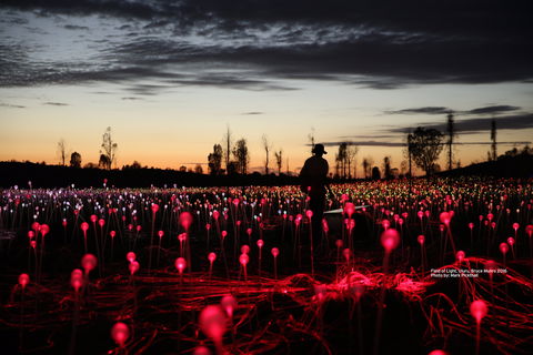 Field Of Light Uluru - Tweed Heads Accommodation 0