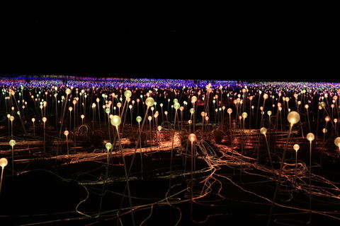 Field Of Light Uluru - Tweed Heads Accommodation 1