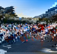 Freycinet Challenge - Tweed Heads Accommodation