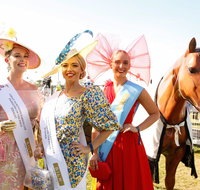 Great Northern Darwin Cup Carnival - Tweed Heads Accommodation