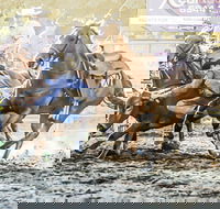Gundagai Rodeo - Tweed Heads Accommodation