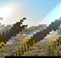 Gunnedah Showjumping Festival - Tweed Heads Accommodation