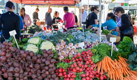 Harvest Launceston Community Farmers' Market - Tweed Heads Accommodation 2