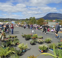 Hobart Showground Sunday Market - Weekly - Tweed Heads Accommodation