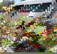 Johns River Country Markets - Tweed Heads Accommodation