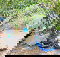 Jungle Love Festival - Tweed Heads Accommodation