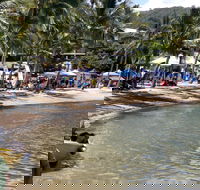 Lions Airlie Beach Community Markets - Tweed Heads Accommodation