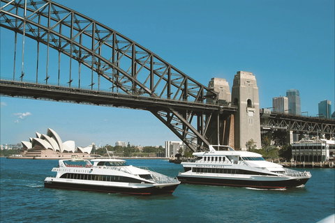 Lunch Cruise In Sydney Harbour With Magistic Cruises - Tweed Heads Accommodation 0