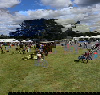 Majors Creek Festival - Tweed Heads Accommodation