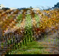 Miners Ridge Wine Tasting - Tweed Heads Accommodation