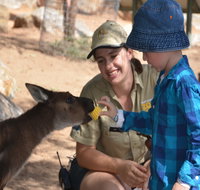 Mums and Cubs And Dads too - Tweed Heads Accommodation