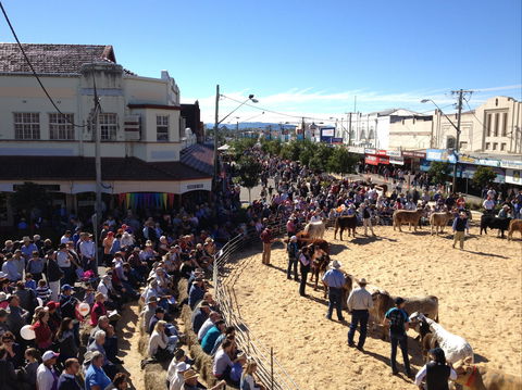 NCMC Casino Beef Week - Tweed Heads Accommodation 0