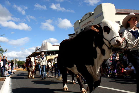 NCMC Casino Beef Week - Tweed Heads Accommodation 1