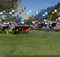 Sakura Matsuri  - Cherry Blossom Festival - in doubt due to Covid-19 - Tweed Heads Accommodation