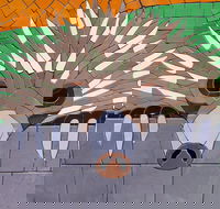 SALA 2020 - Colour Our World - Tweed Heads Accommodation